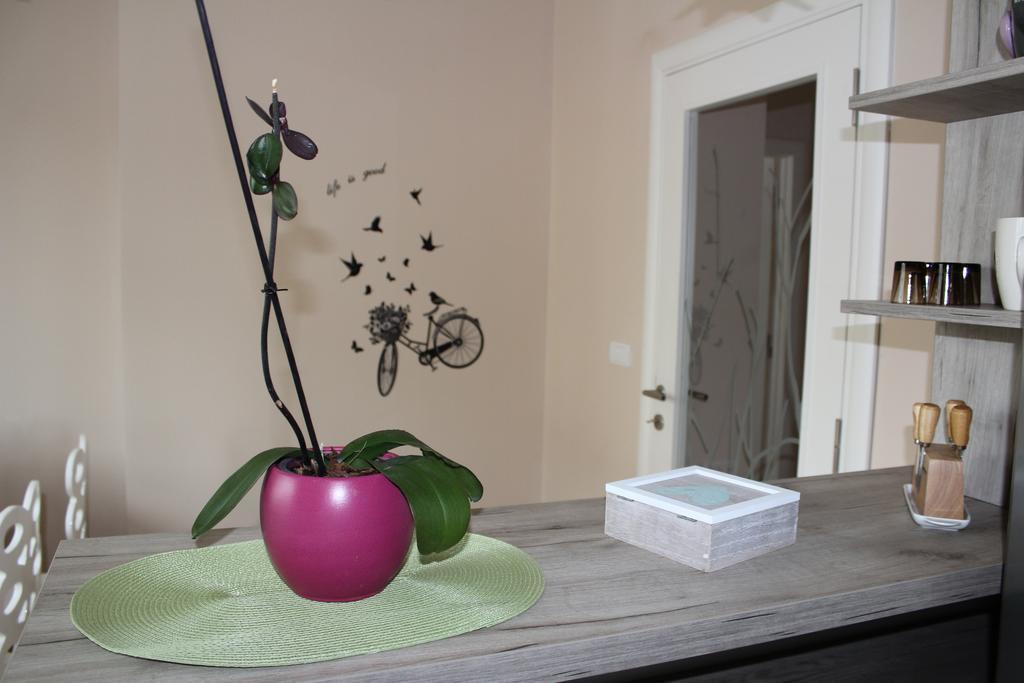 Apartmán Orchid House Bělehrad Exteriér fotografie